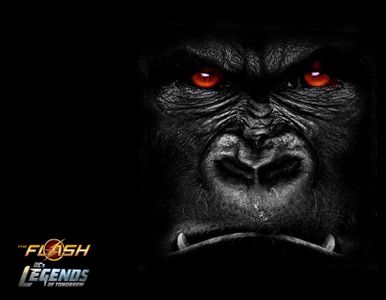 Gorilla Grodd