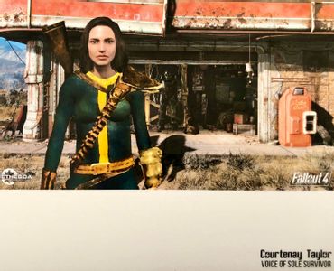 Fallout 4 Sole Survivor